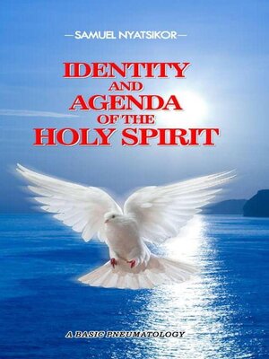 cover image of Identity and Agenda of the Holy Spirit
